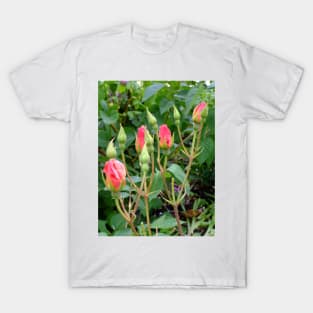 pink rose buds T-Shirt